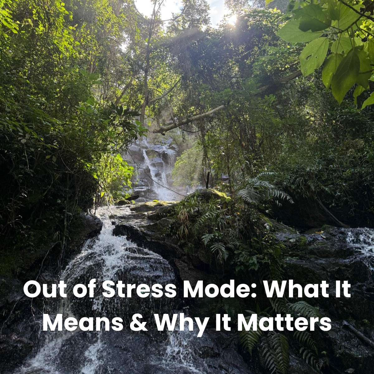 Out of Stress Mode: What It Means And Why It Matters